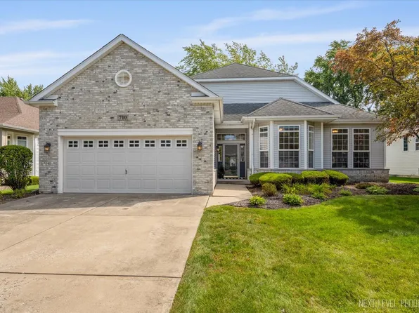 710 Sanctuary Ln, Joliet, IL 60435