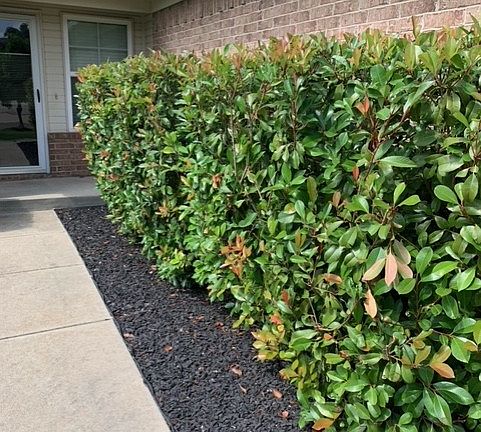 3rd image of 805 Ga Zump Dr