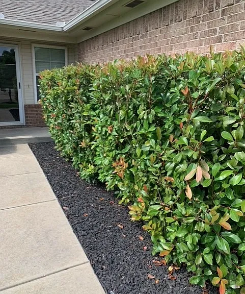 805 Ga Zump Dr — Photo 3