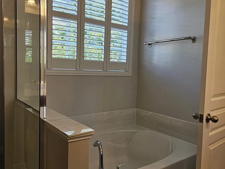 Master bath soaking tub