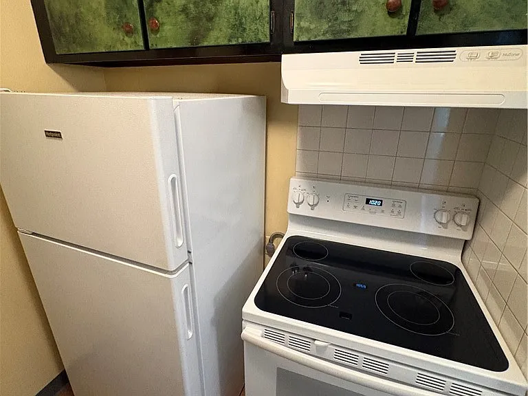 493 Delaware Ave #3 — Photo 20