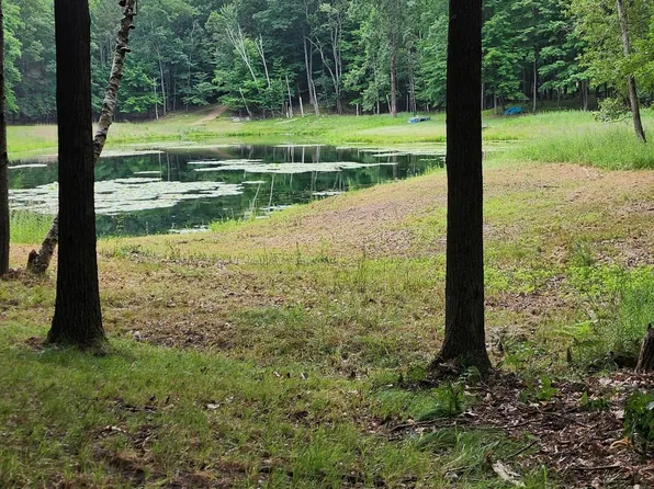 1631 Laurel Ln, Farwell, MI 48622