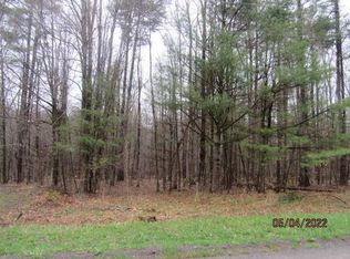 0 Town Line Rd, Unadilla, NY 13849