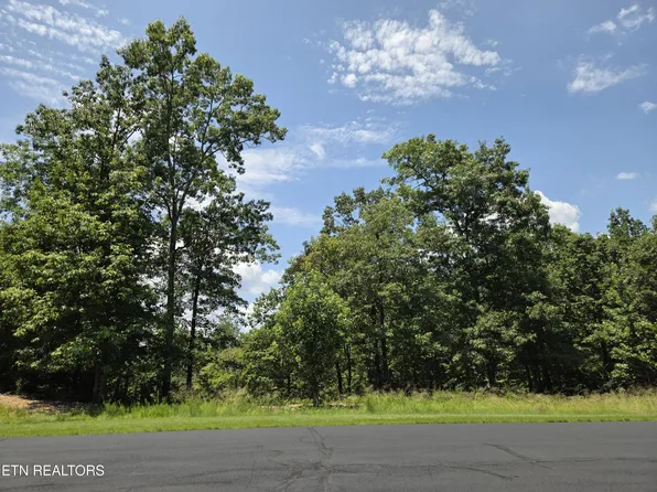 391 Thief Neck View Dr, Rockwood, TN 37854