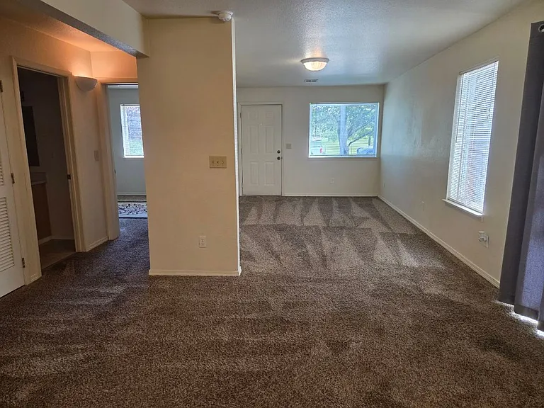 295 Tolman Creek Rd — Photo 6