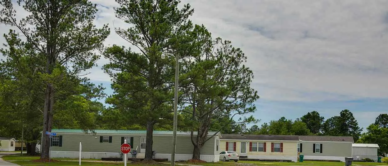 Southern Pines — Photo 4
