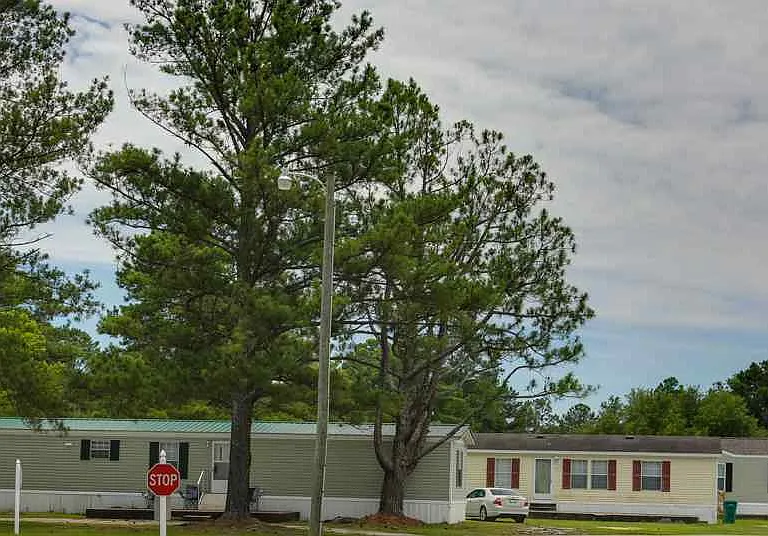 Southern Pines — Photo 4