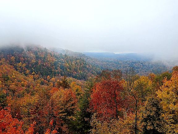 2nd image of 138 Dobson Mountain Rd