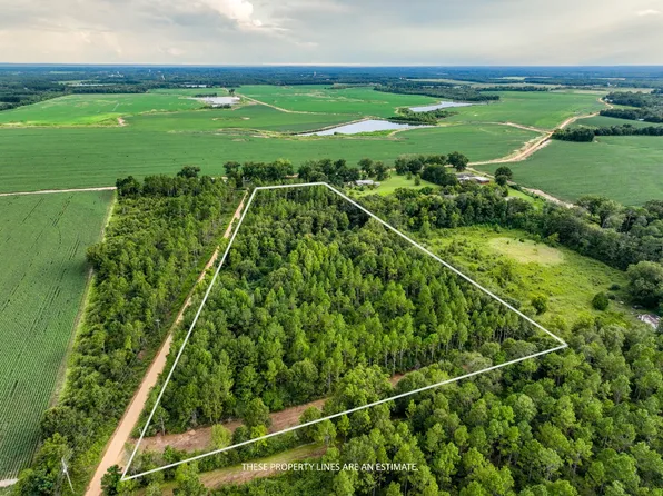 10/ACRE S Thurman Rd, Samson, AL 36477