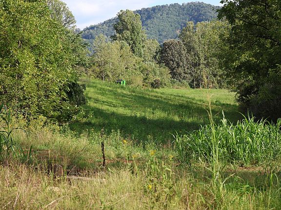 2nd image of 0 Puppy Creek Rd