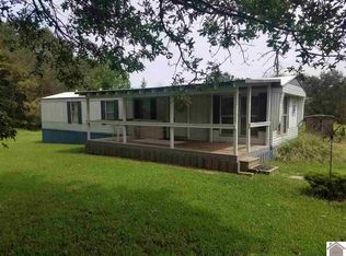 1134 Nelson Trl, Dexter, KY 42036