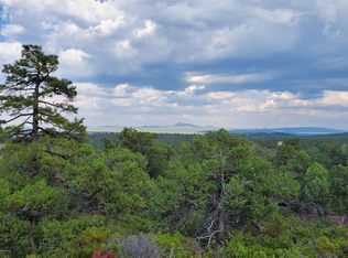 1611 S Canyon Ridge Trl, Show Low, AZ 85901