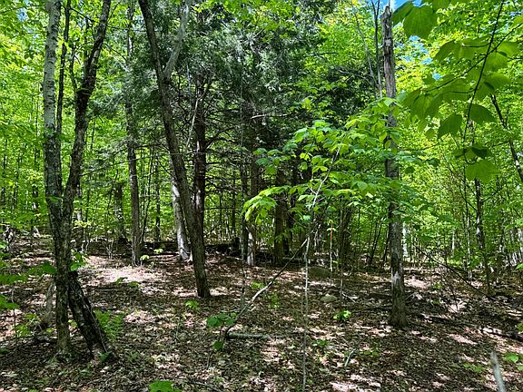 3rd image of 1.1 Cobble Creek Rd #1