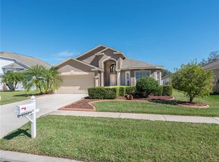 2747 Pankaw Ln, Valrico, FL 33596