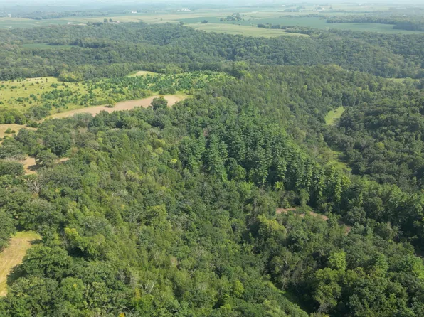 310th St, Lanesboro, MN 55949