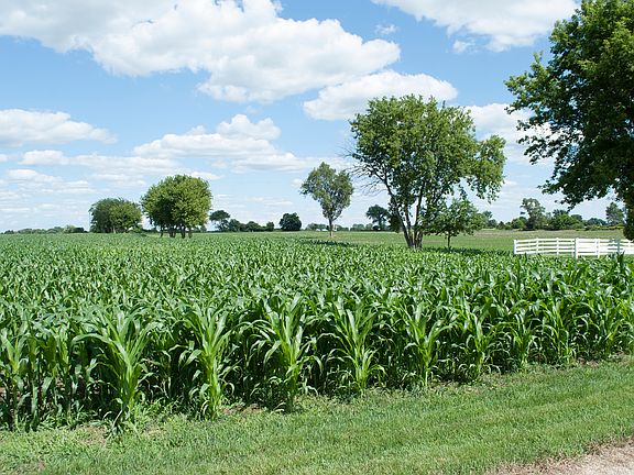 2014 Corn | Soybean Crop