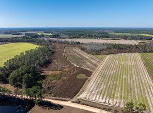 1099 Griffin Whitley Rd, Alapaha, GA 31622