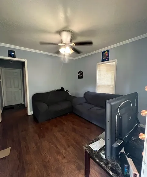 203 Maple St #1 — Photo 7