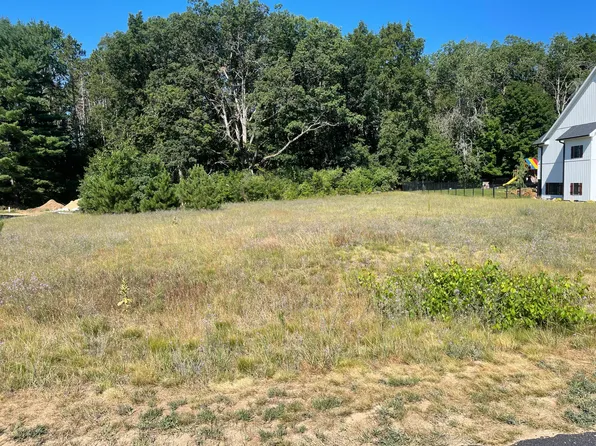 7811 Sandy Ln, Stanwood, MI 49346