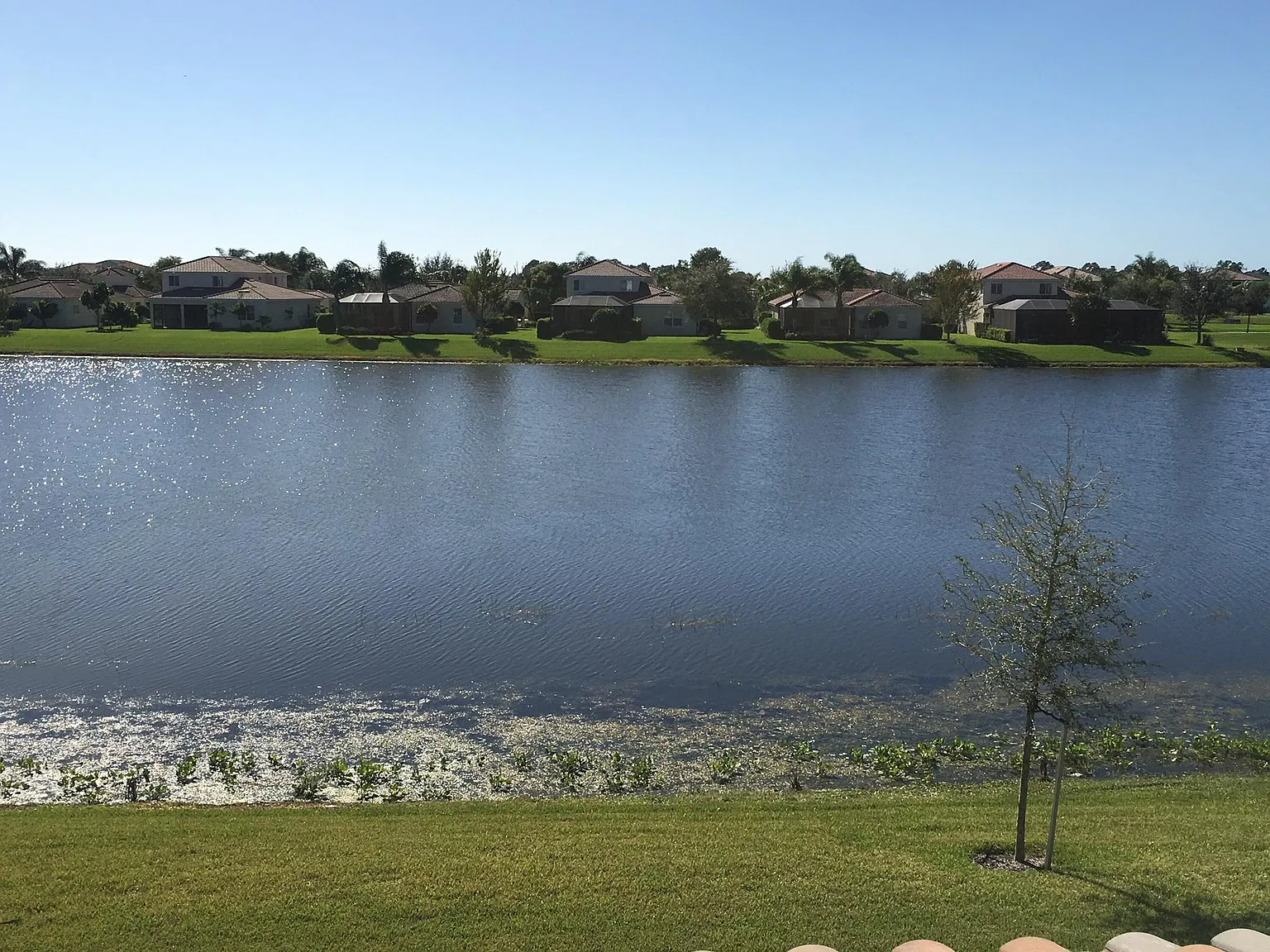 4 bed, 4200 sqft, $3,945 — Photo 4