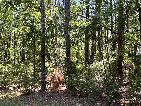 4th image of 117 Headwaters Drive LOT 2