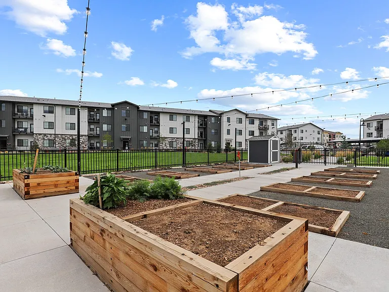 Camber Apartments — Photo 33