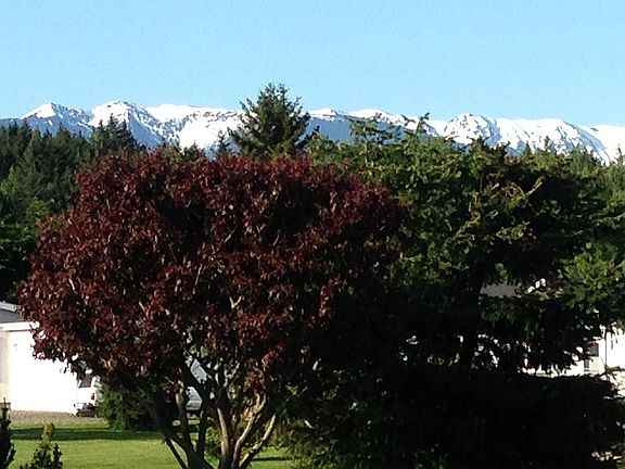 Olympic mountain range