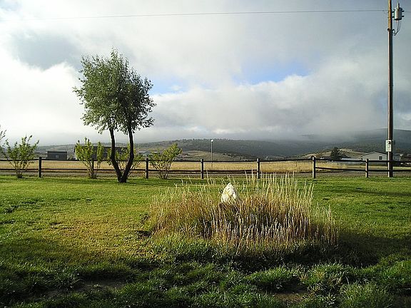 5th image of 294 Red Canyon Rd
