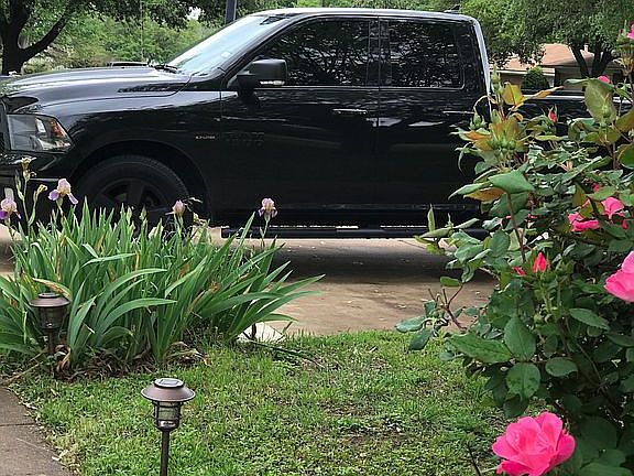3rd image of 1230 Wedgewood Dr