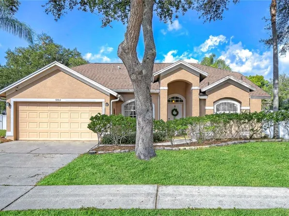 9703 SUNNYOAK DRIVE, RIVERVIEW, FL 33569