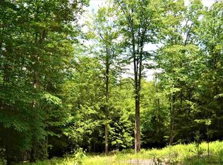 9 Spring Woods Rd, Diamond Point, NY 12824