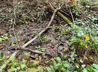 0 Whispering Rdg, Tuckasegee, NC 28783