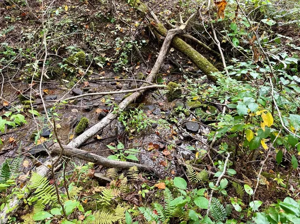 0 Whispering Rdg, Tuckasegee, NC 28783