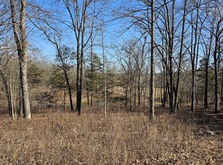 65 Gunslinger Drive, Brixey, MO 65618