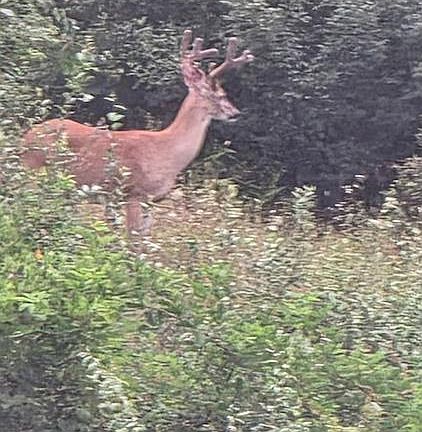 5th image of Troutdale Hwy
