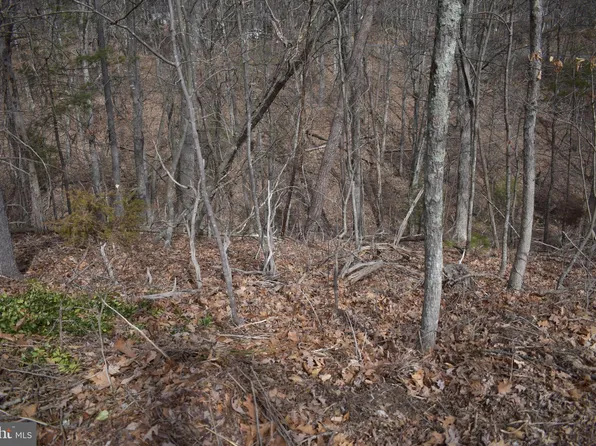Nicklaus Dr, Basye, VA 22810
