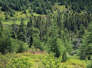 0 Black Duck Pond Rd, Division No. 1, Subd. L, NL A0A1X0