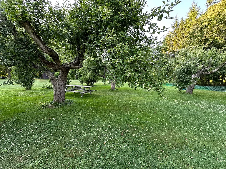 Cosby Manor Rd — Photo 10