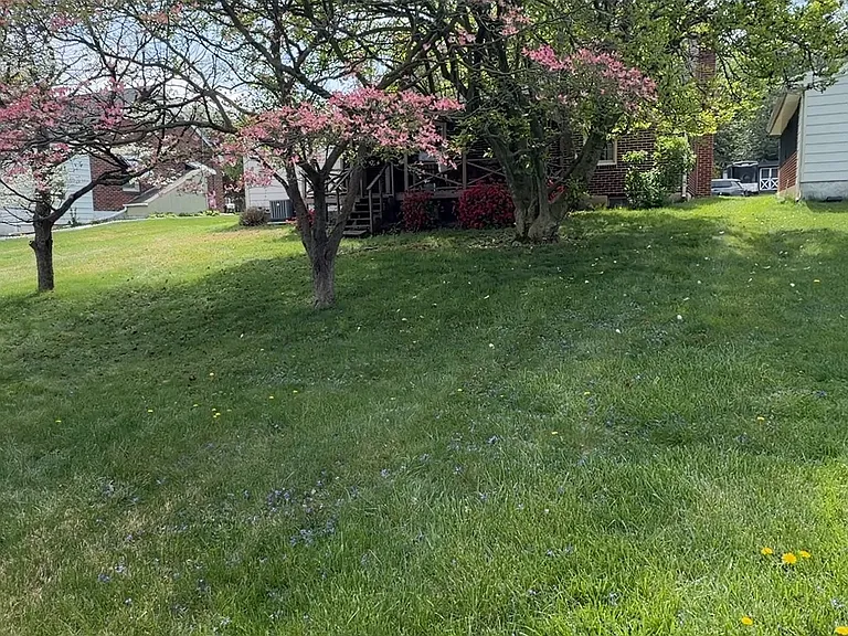 245 Eastland Ave — Photo 10