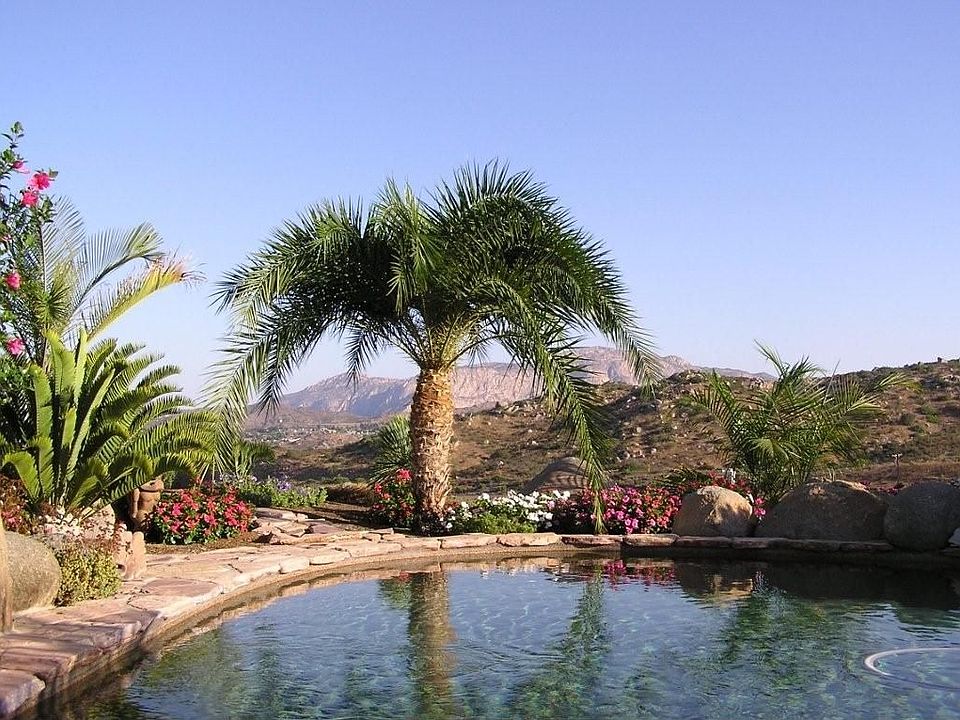 Tropical Landscaping