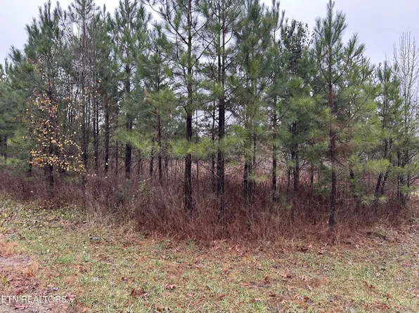 0 Hitchin Post Dr Lot 45, Jamestown, TN 38556