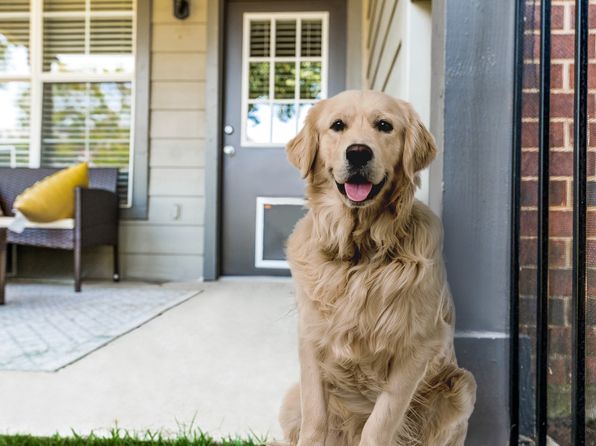 6200 N Shiloh Rd #12-1223