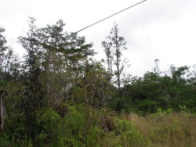 1st image of 40th St Lot 20