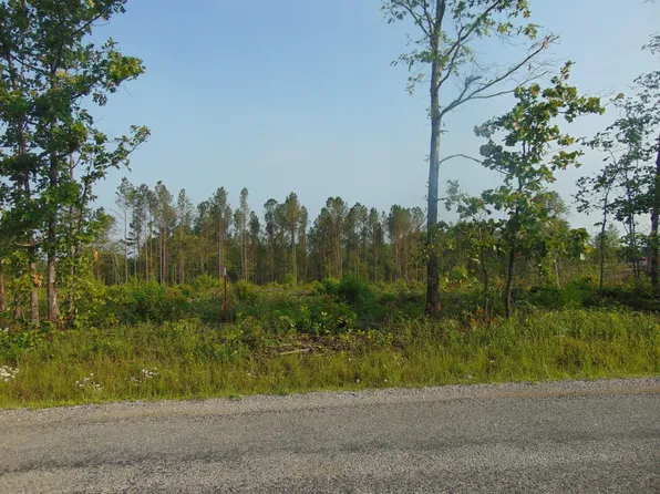 184 Barnesville Rd, Summertown, TN 38483