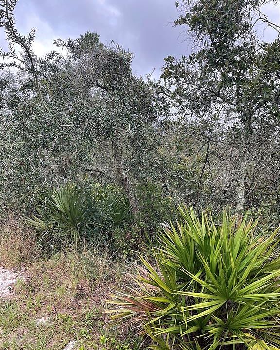 1st image of 41 ORCHID COURT LOT 2
