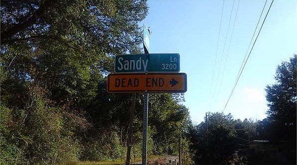 2nd image of 3237 Sandy Ln