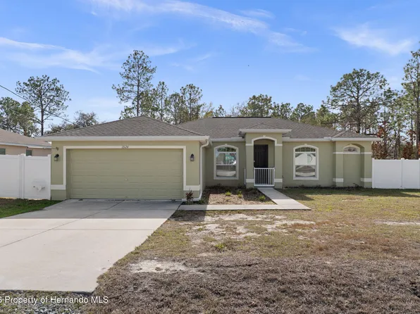 13124 Snowy Plover Ave, Weeki Wachee, FL 34614