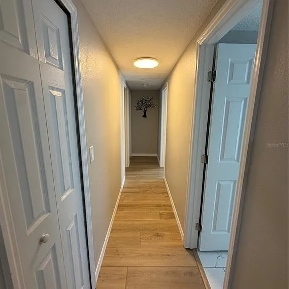 3032 Golden Rain Dr — Photo 6