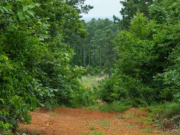 5th image of State Highway 64 #2