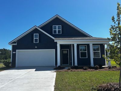 833 Farmers Passage Loop, Loris, SC, 29569